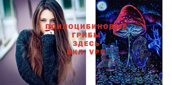 ГАЛЛЮЦИНОГЕННЫЕ ГРИБЫ Алексеевка