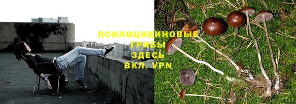 мескалин Алзамай