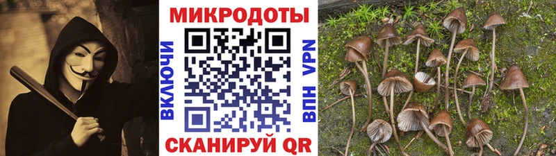 Псилоцибиновые грибы мицелий Купить Еманжелинск