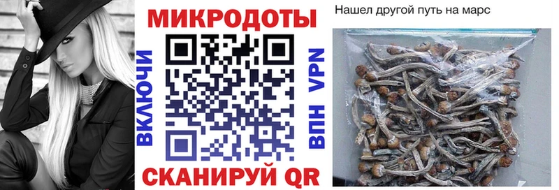 Псилоцибиновые грибы мицелий Еманжелинск